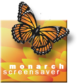 Monarch Butterfly Screen Saver